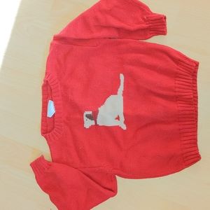 Little English dog sweater